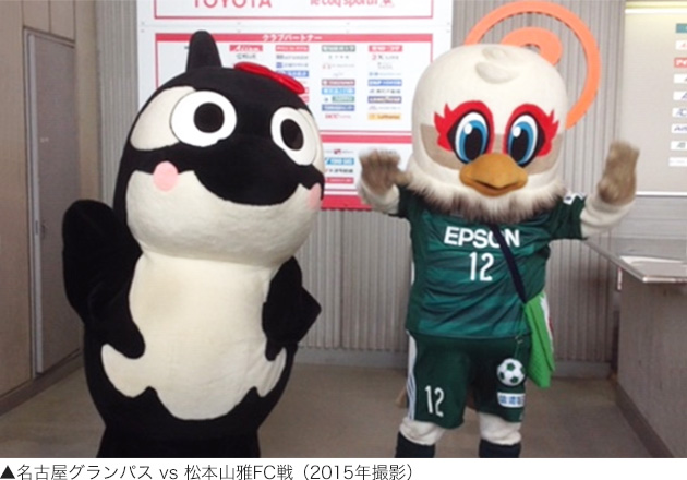 名古屋グランパス vs 松本山雅FC戦（2015年撮影）