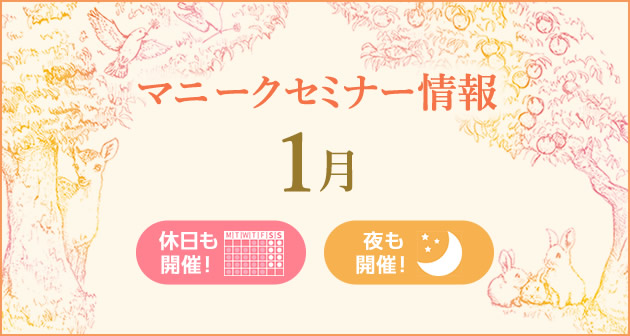マニークセミナー1月